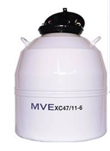  MVE XC47/11-6 液氮罐