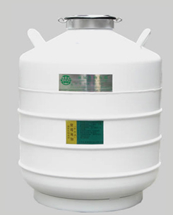 亚西 液氮容器贮存（YDS-30-125）